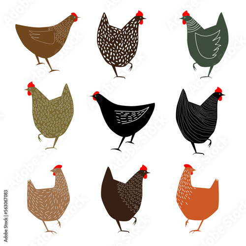 vector set of stylized chickens on a white isolated background