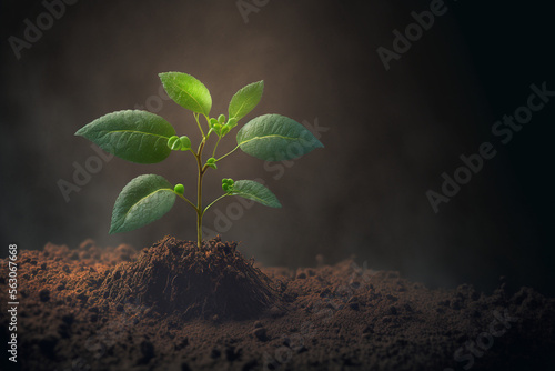 a small plant sprouting out of the ground made by generative ai