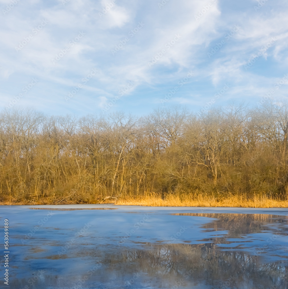 frozen lake in the forest, winter outdoor landscape frozen lake in the forest, winter outdoor landscape