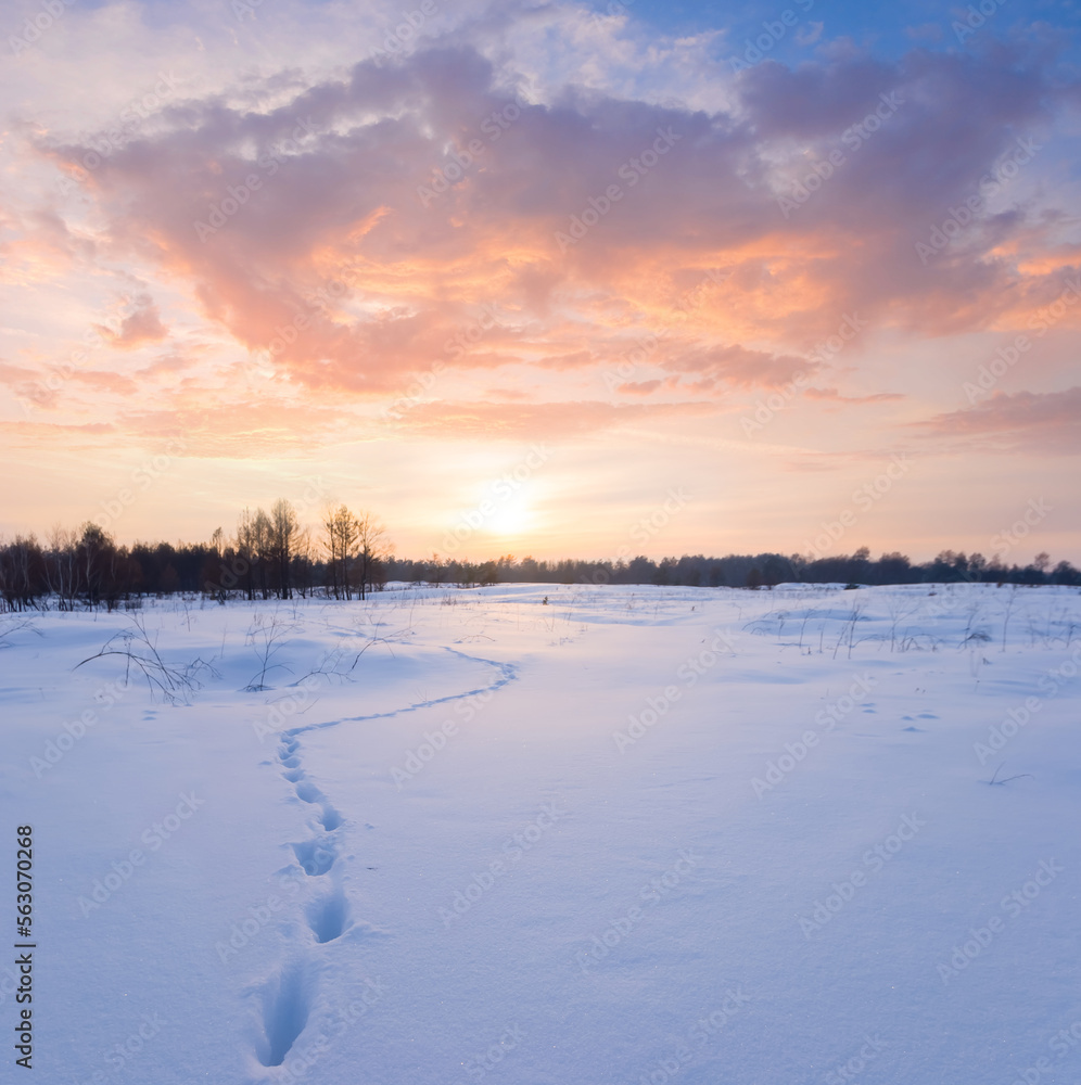 winter snowbound plain with human track at the sunset winter snowbound plain with human track at the sunset