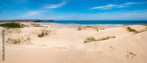 sandy dunes at Portugal coast near Carrapateira. holiday destination Algarve west.