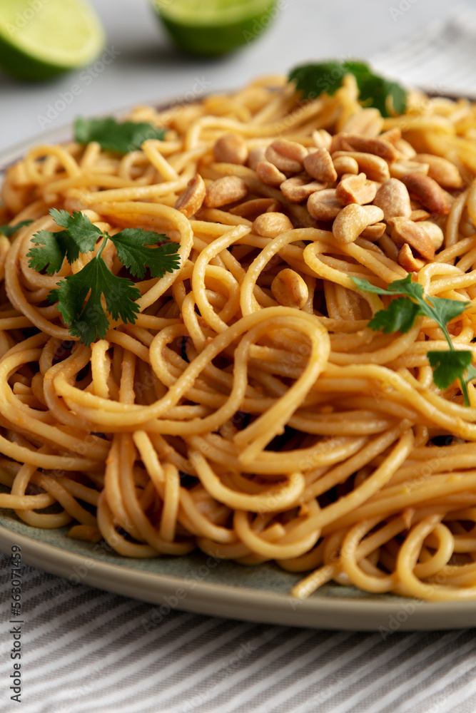Homemade Asian Peanut Sauce Noodles on a Plate, side view. Close-up. Homemade Asian Peanut Sauce Noodles on a Plate, side view. Close-up.