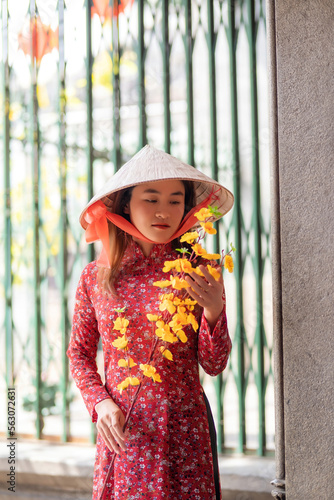 Vietnamese girl with Ao Dai dress in pagoda, Ho Chi Minh city, Vietnam. Ao dai is famous traditional costume for woman in Vietnam