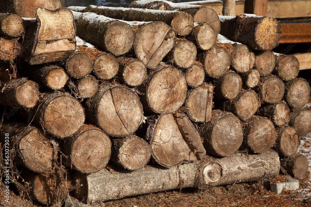 Pile of chopped fire wood prepared for winter Pile of chopped fire wood prepared for winter