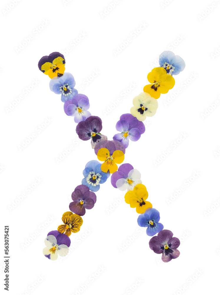 Flower font Alphabet made of Real pansy flowers. Flower font Alphabet made of Real pansy flowers.