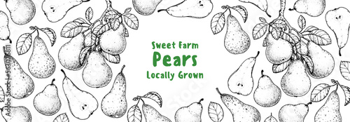 Pear fruit sketch, hand drawn design. Vector illustration. Design, package, brochure illustration. Pear fruit frame illustration. Design elements for packaging design and other.