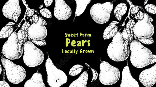 Pear fruit sketch, hand drawn design. Vector illustration. Design, package, brochure illustration. Pear fruit frame illustration. Design elements for packaging design and other.