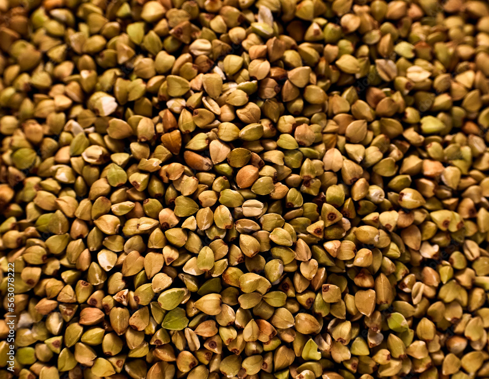 Natural Green Raw Buckwheat Groats. Raw not steamed buckwheat grains. Natural Green Raw Buckwheat Groats. Raw not steamed buckwheat grains.