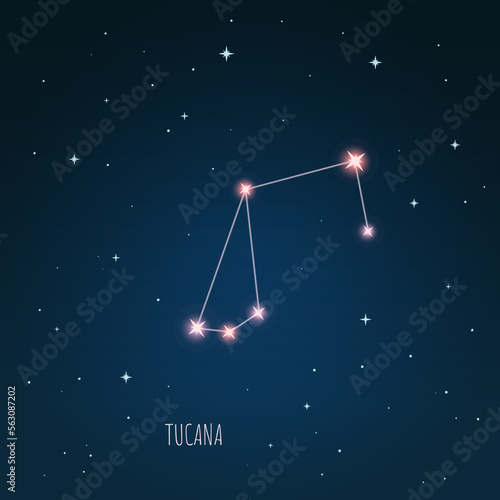 Constellation scheme in starry sky. Open space. Vector illustration Tucana constellation through a telescope