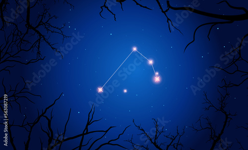 Vector illustration Microscopium constellation. Tree branches, dark blue starry sky