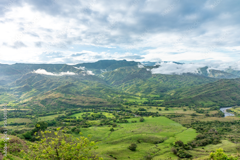 nature in the mountain landscape of Colombia