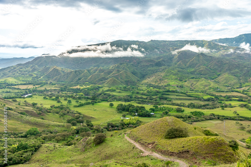 nature in the mountain landscape of Colombia