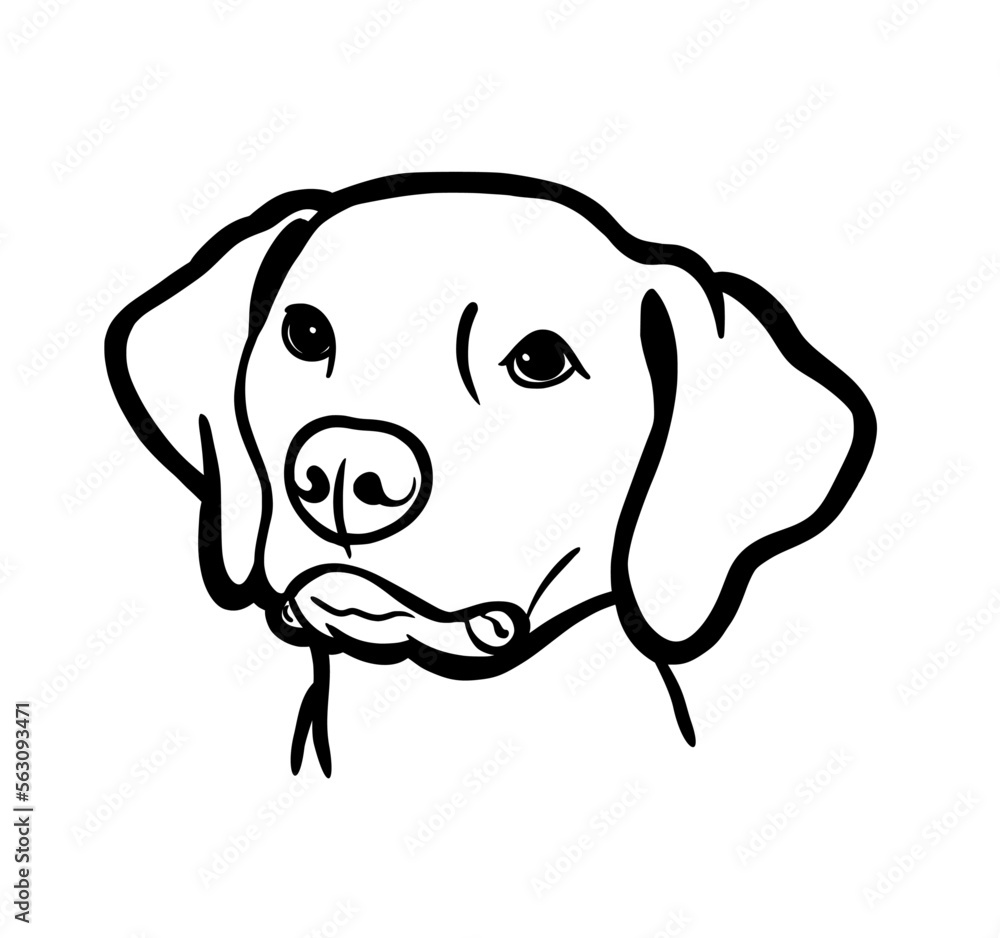 Fototapeta premium Vector illustration of a dog head.