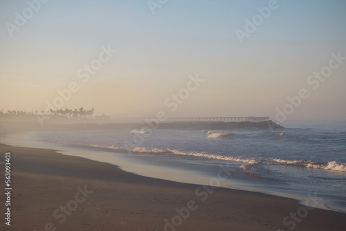  newport beach and pier famous tourist destination in California with palm trees in early morning light of dawn