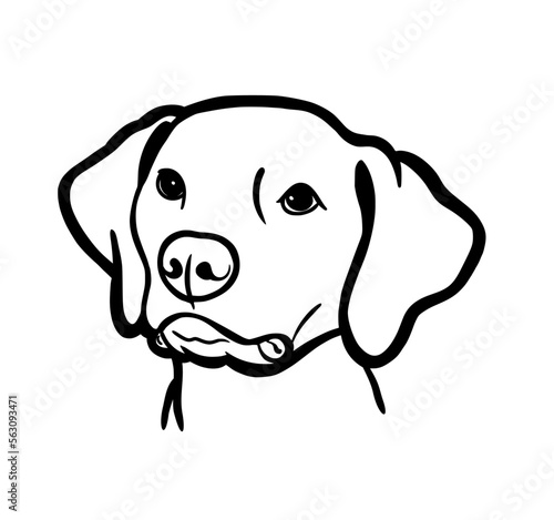 Vector illustration of a dog head.