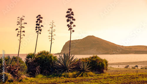 cabo de gata, natural park in Andalusia in Spain- playa Genoveses