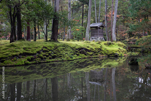 Autumn leaves at Saiho-ji temple, UNESCO World Heritage Site, Kyoto, Japan