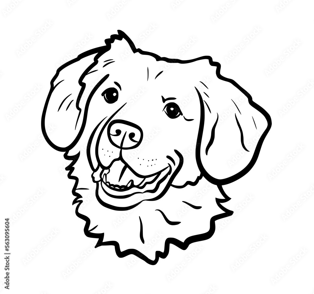 Portrait of a dog head. Outline vector drawing of a dog. Portrait of a dog head. Outline vector drawing of a dog.