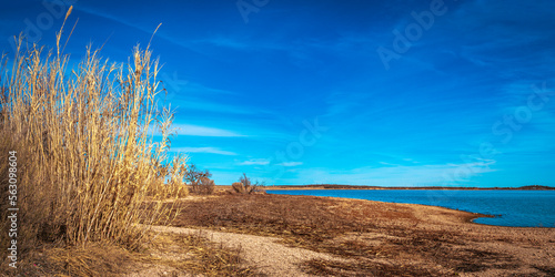 Tranquil sunny landscape of Lake Fort Phantom Hill in Abilene, Taylor and Jones Counties, Texas, USA,with tall dried common reed plants on the beach