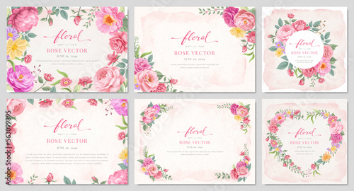 Collection set Beautiful Rose Flower and botanical leaf digital painted illustration