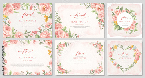 Collection set Beautiful Rose Flower and botanical leaf digital painted illustration