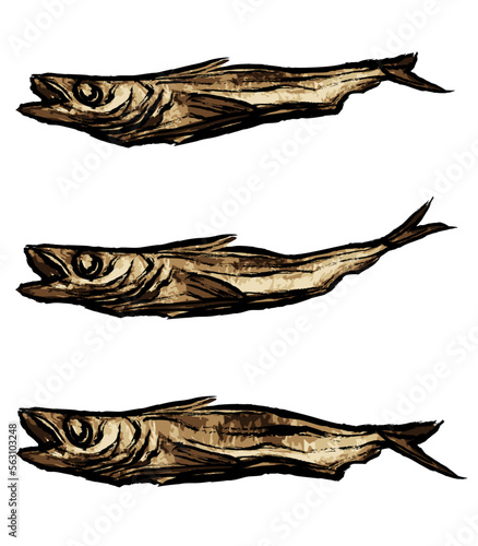 Dried Pollack, Korean traditional dried fish