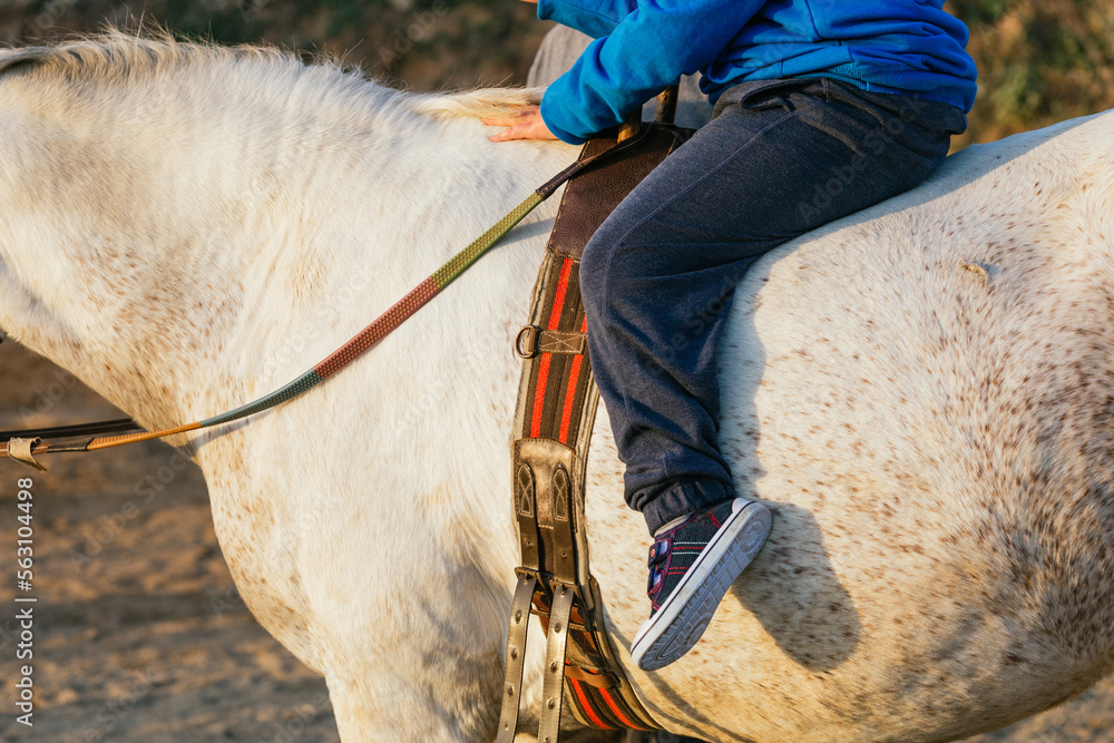 Obraz premium Leg of a child with cerebral palsy on a horse