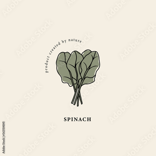 Line art spinach branch drawing