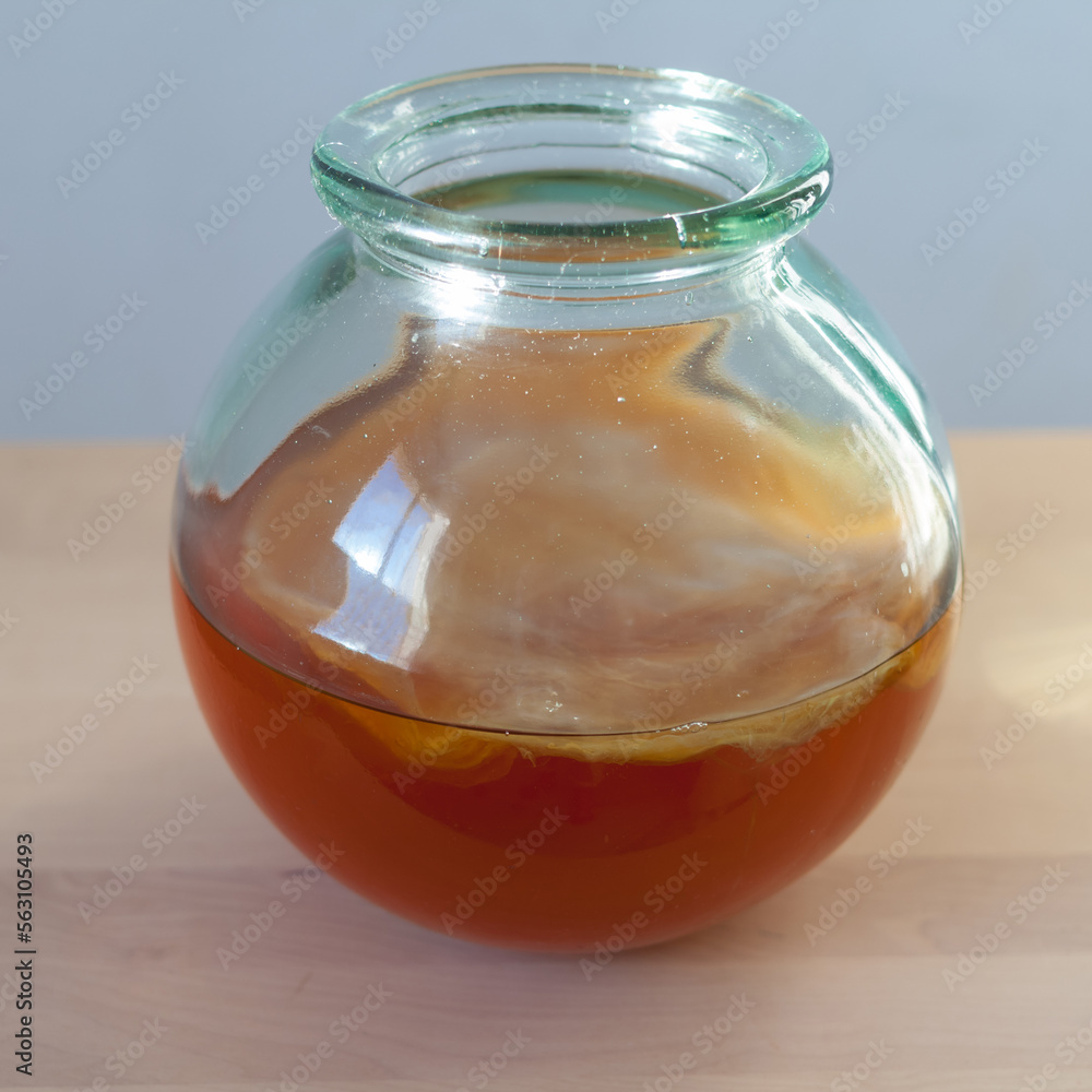 Kombucha, a fermented drink in a glass jar. Kombucha, a fermented drink in a glass jar.