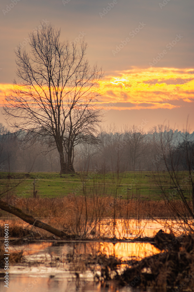 Fototapeta premium Sunset over the river pool
