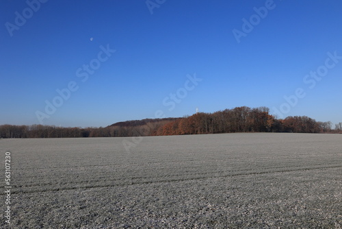 Schöne Winterlandschaft bei Beckum im Münsterland	 photo