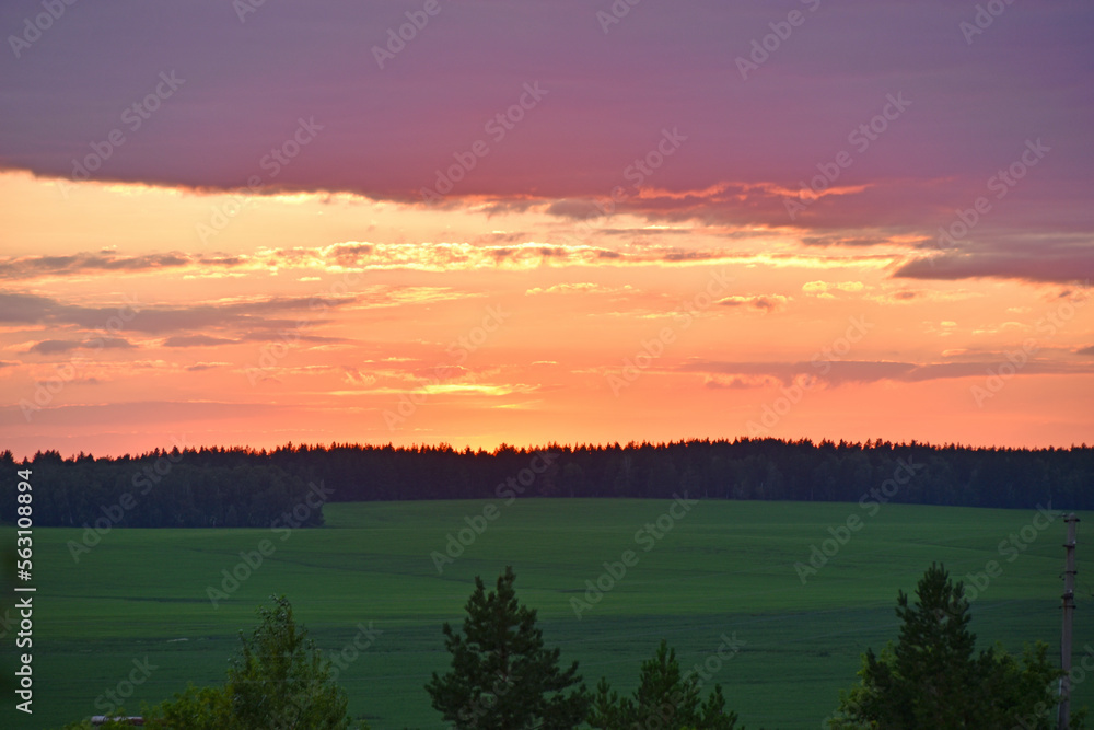 A beautiful sunset sun and a horizon with a forest. a beautiful field and a summer red sunset.