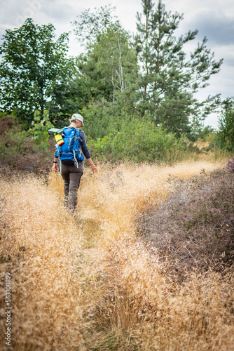 person walking in the woods