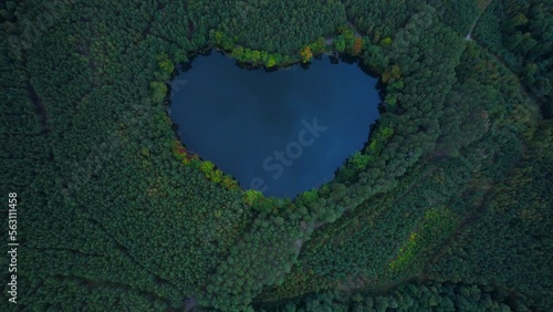 Heart - shaped lake in the green forest. Bird's eye view of the blue water and treetops in a daylight.