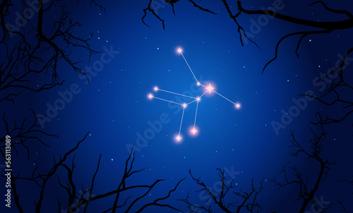 Vector illustration Lyra constellation. Tree branches, dark blue starry sky
