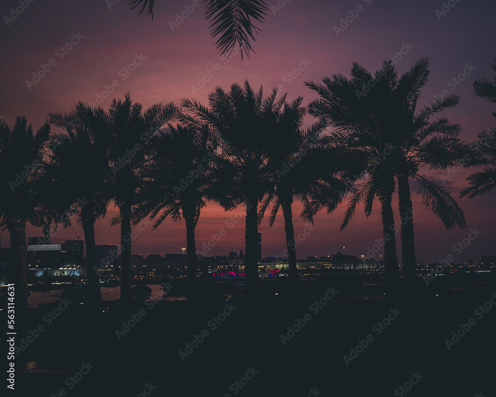 Obraz premium palm trees at sunset
