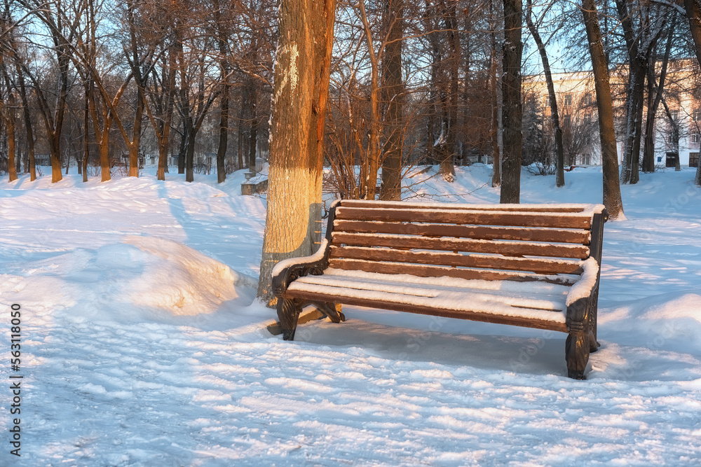 Bench in the park covered with snow. The rays of the morning sun on the trees and snow. Embankment of Afanasy Nikitin in the city of Tver.