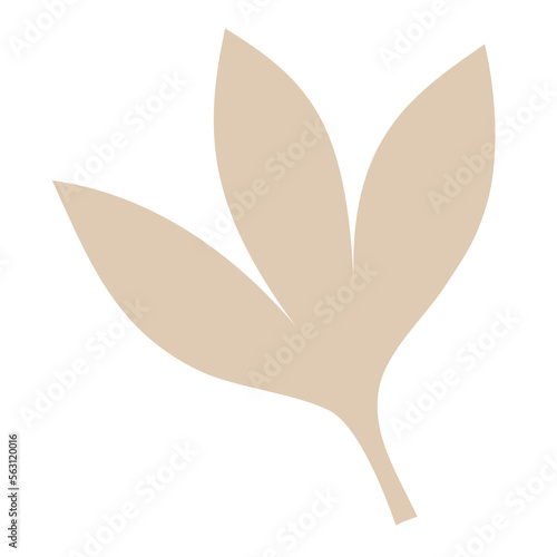 Transparent leaf graphic resource in neutral light brown