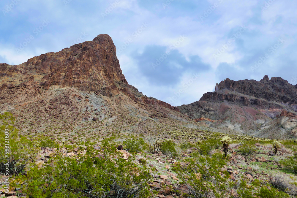 Rock peaks and green desert vegetation in the Black Mountains, Mojave Desert, near Oatman, Arizona
