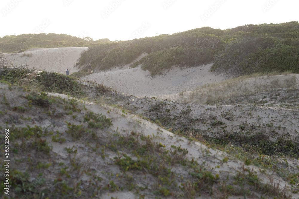 Sand hills in the beach 