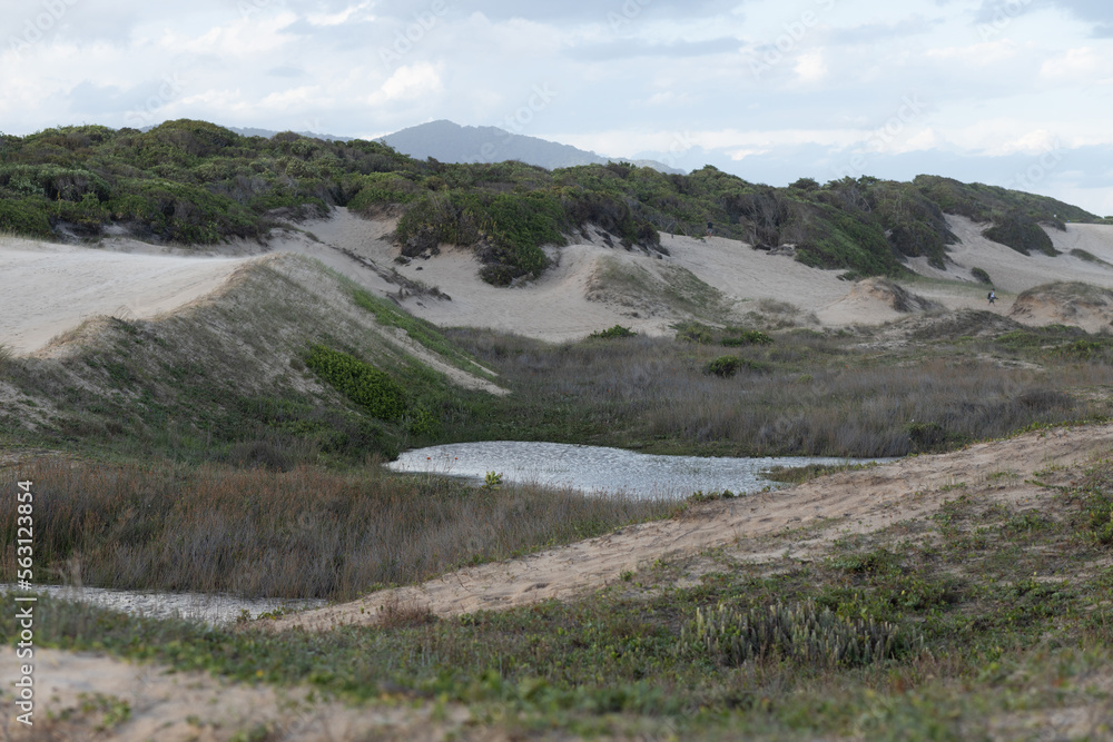 Sand hills and small lake at the beach
