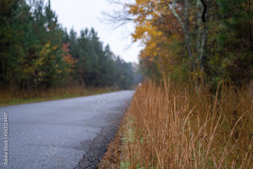 country road in autumn