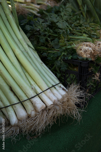 background of leek vegetables. High quality photo