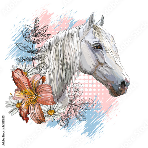 Portrait of a white horse and flowers vector illustration isolated