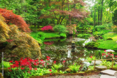 Multicolor flowering: pink, yellow and purple of rhododenron bushes and pond in japanese garden in the Hague