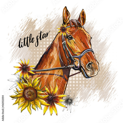Portrait of a horse and sunflowers vector illustration isolated
