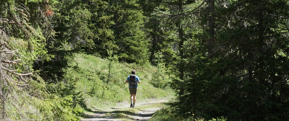 Fototapeta premium person walk in a forest