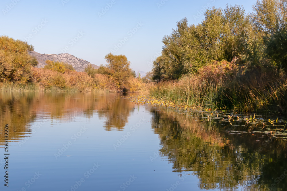 Panoramic idyllic view of water reflection in Crmnica river going to Lake Skadar in Virpazar, Bar, Montenegro, Balkans, Europe. Travel destination on sunny autumn day in wilderness in the Dinaric Alps
