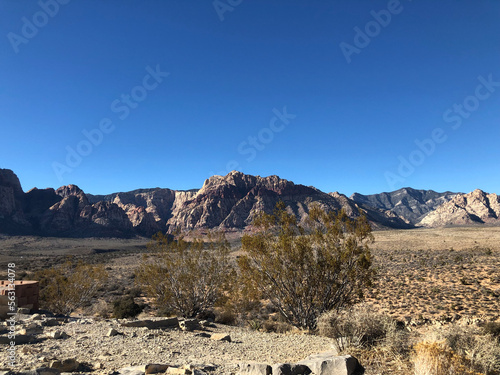 Canvas Print landscape in park