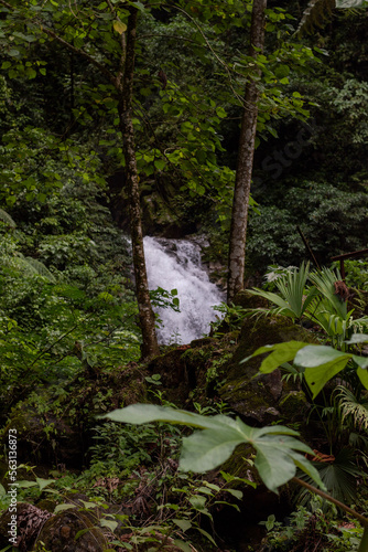 Fototapeta Naklejka Na Ścianę i Meble -  waterfall in the rainforest
